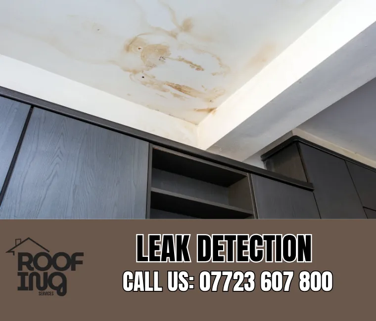 Roof leak detection and repair in Barnstaple