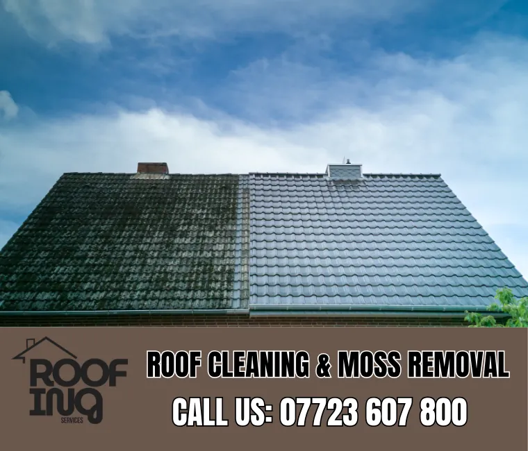 Roof Cleaning in Barnstaple